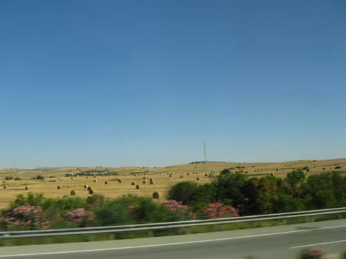 Item #49780404214023394125628081485635193078207366864253774489702248293823240208385 Media