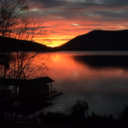Purple Sunrise