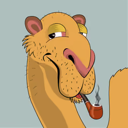 Cool Camel #0020