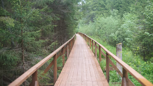 Item #74044223418963058719430139109127574928607342041478017501753412592849960042497 Media