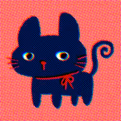 Midnight Cat