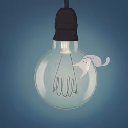 Cat on Light Bulb 008