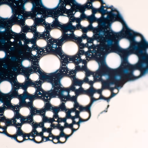 9251341193756129610411101804839683921415719585297066577807806963407774547969