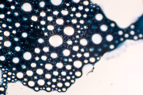 Item #9251341193756129610411101804839683921415719585297066577807806963407774547969 Media