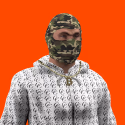 98508527755431368061554246442399281165409131019472753687763633241425107222529