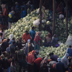 9786954614263872239675759573752117098889626184516004593243317253374040080385