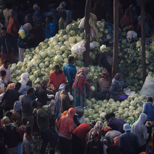 9786954614263872239675759573752117098889626184516004593243317253374040080385