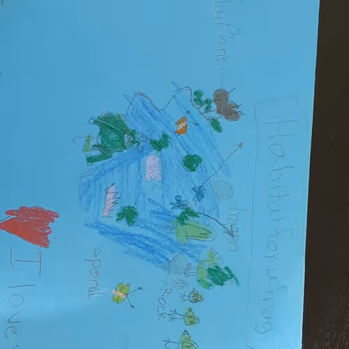 Mira S Artwork