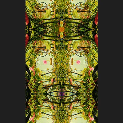 54411499690937640101772425138653578544162397958311670010148906853284028874753