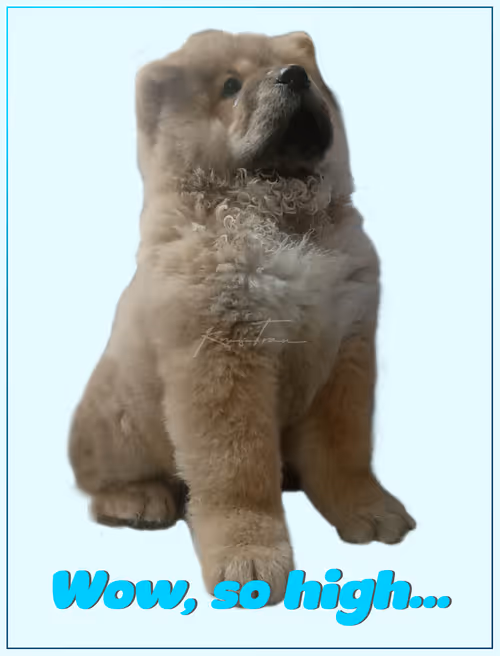 Item #103606411814514267144441239329390381368364317226309774540220525447068841410561 Media