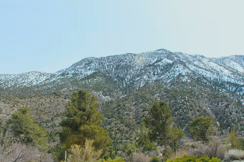 Item #84029125642455646751627882964449646871643598257410714142822988195825813815297 Media