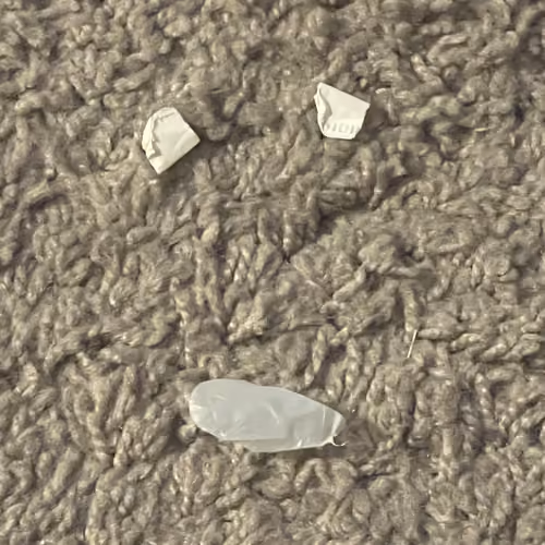Sad Carpet