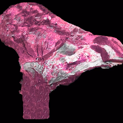 18063966590187803564983313972252836895288362682890717819958697113115487633409