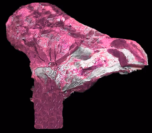 Item #18063966590187803564983313972252836895288362682890717819958697113115487633409 Media