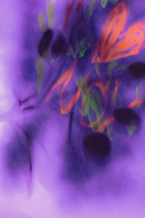 Item #6543125285758794139519418366552479585360659536622126303737985269567917654017 Media