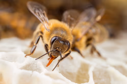 Item #11893448461842202167923125391346137616384292588036434545660885374827354914826 Media