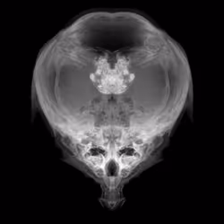 85859191866638808365331437874953228966785819470149775310971061926709249966081