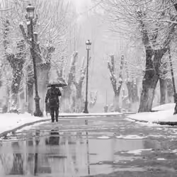 Let the snow fall on us..