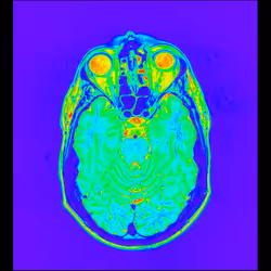 64162533542198579898252916190583583845604629893829087458582976206487878107137