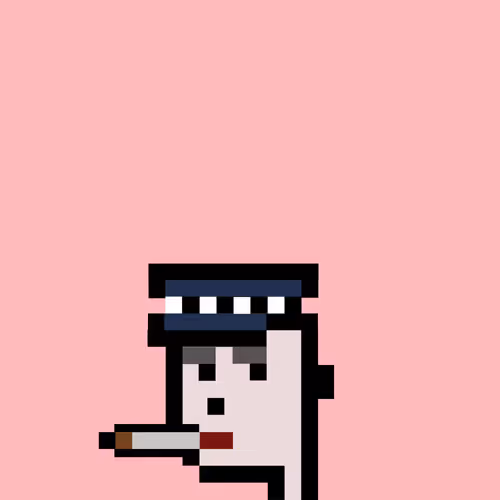 Item #49127577846748012046927194173473687108562956486670782356773333697275665317889 Media