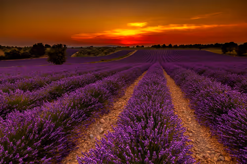 Item #105679162715773690367894814568251153202929894369313826483118647823499788288001 Media