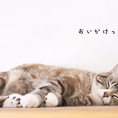 98375260972207452488921693803208451811643096771547350445513509680904247705601