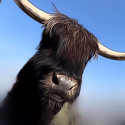 Item #26775048074564914634516076797283750363850479455184552721433135308109453983745 Media