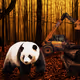 107953945929572746689845878884429311735561152442961314619442039063804762914817