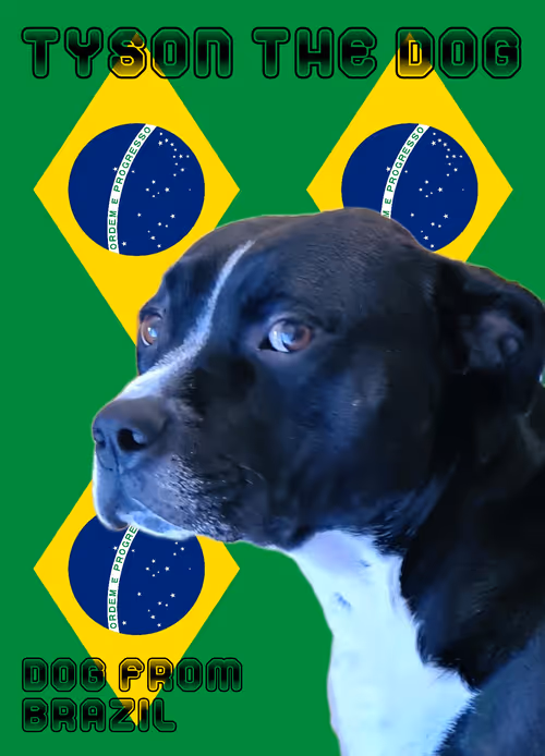 Item #648008096045867044483137489329882592233555462946033952975387895886927364097 Media