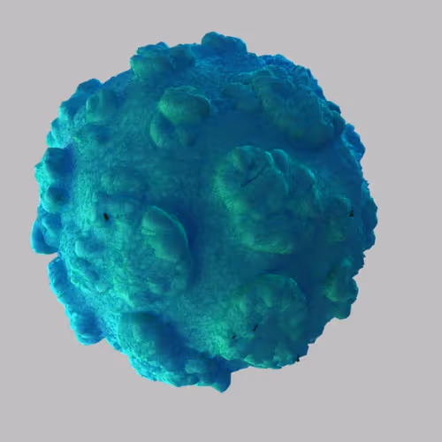 Item #67447968651477411200825140622653011550886032054386379911868636577703928004609 Media