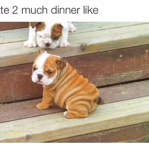 54895x Collection - old