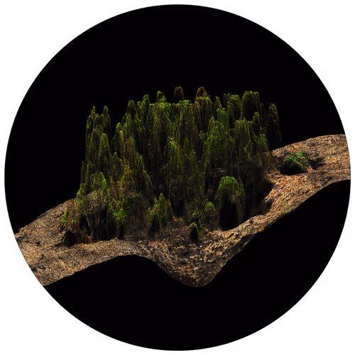 Item #3297889266964821186108216166808061648097153390725508810487041802582330703873 Media