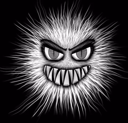 Untitled Collection #2915402783