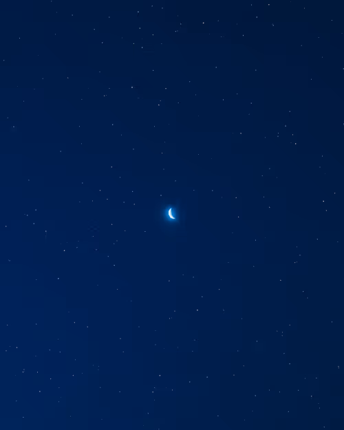 Item #9516099056367242152996622501750151802451978225621664057436231450056888156161 Media