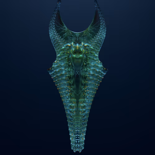 Neptunian Specimens