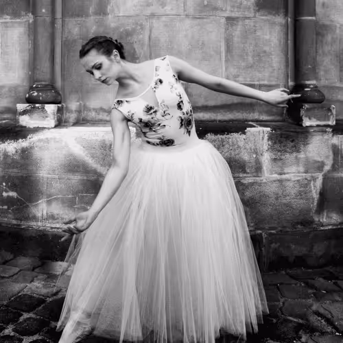Pure Elegance of Ballet