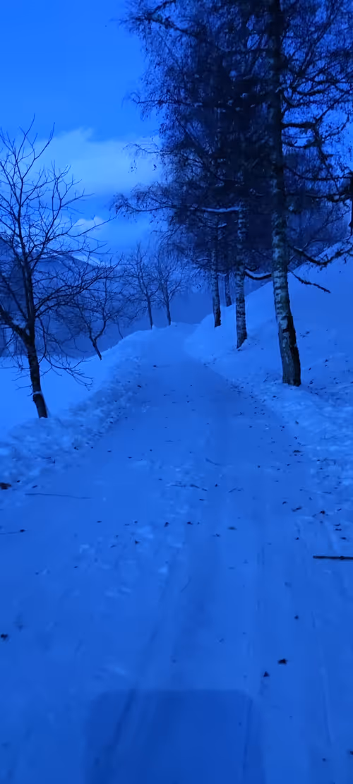 Item #88353325740892022603979579663228138712443640373110526023367119861337185845249 Media