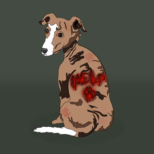 Item #18929025953091685879740265421444029621973902778044225700407145452809494724609 Media