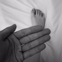 手