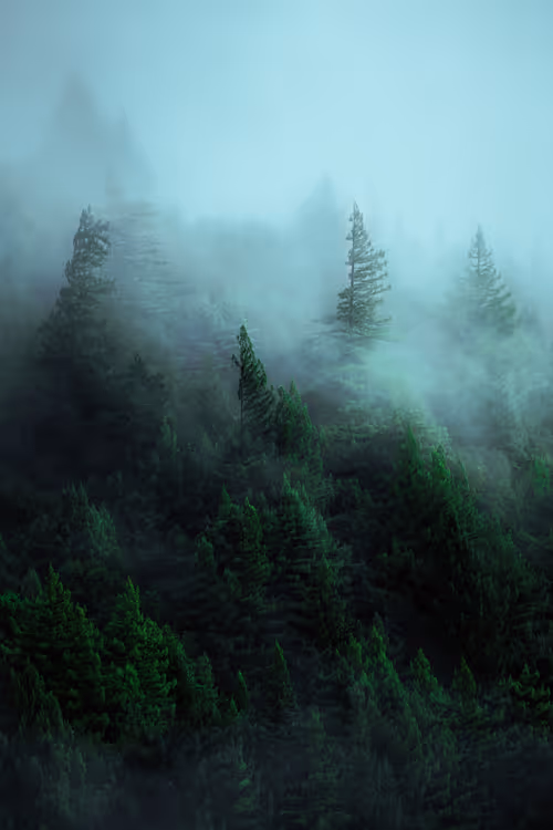 Item #28249669150142615207579555762608265536132247185199409993543532400291669344257 Media