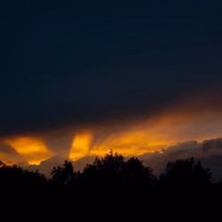 aT the crack of dAwn