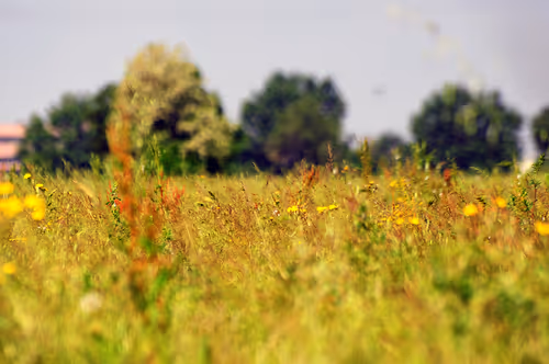 Item #44024487065254451978341284796523308956461514990321328857199441191504298639361 Media