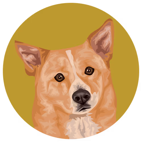 54766349128176429303044182404049584425310907481653304317570413984808402157569