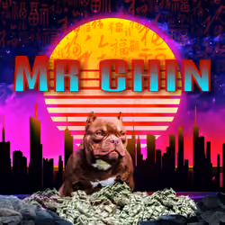 mr chin