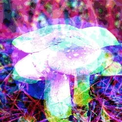 Cosmoshroom