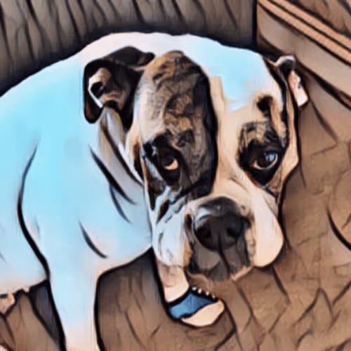 bulldog slinky collection