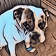bulldog slinky collection