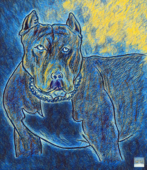 Item #73751005446205567110562479893401256064422636814134837291846161766199848861697 Media