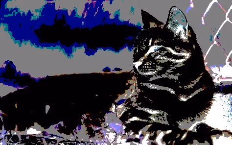 Item #23538819986925566434507765811444276093104658907602947149672917234955789008897 Media