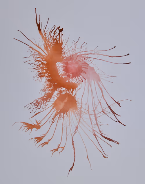 Item #5933605861827810115765458697871522694083350793229885744995134279197711663227 Media